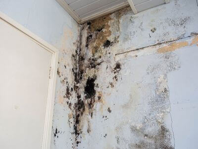 About HavenVantage - water damage restoration experts in Huntsville